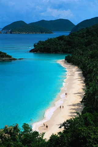 Project Management Islands Of Excellence