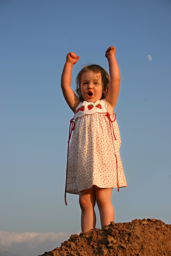 Where Anecdotes Are Better Than Big Data