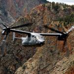 Winning The Bureaucracy Game